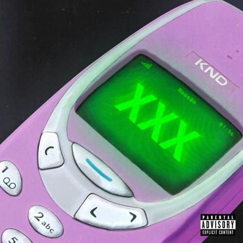 XXX (feat. Lille Pablo)