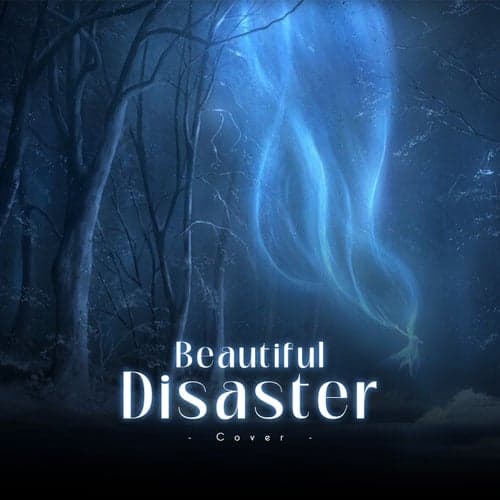 Beautiful Disaster (Cover)