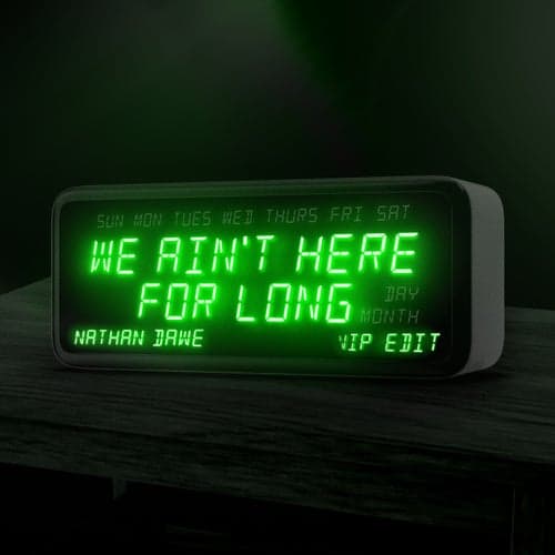 We Ain't Here For Long (VIP Edit)