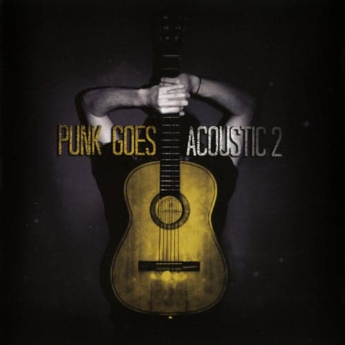 Punk Goes Acoustic, Vol. 2