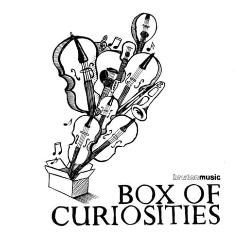 Box of Curiosities