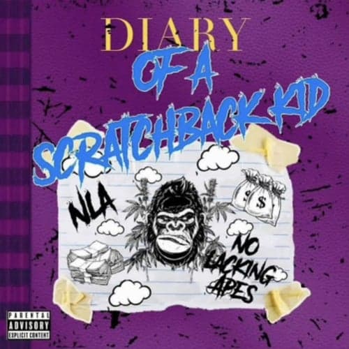 Diary Of A Scratchback Kid