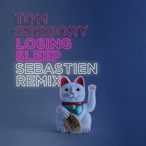 Losing Sle (Sebastien Remix)
