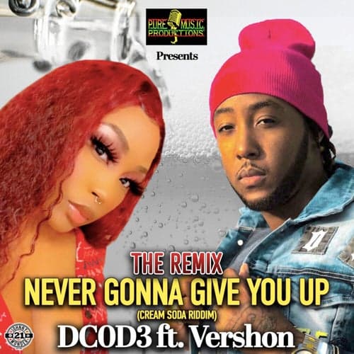 Never Gonna Give You Up (The Remix)