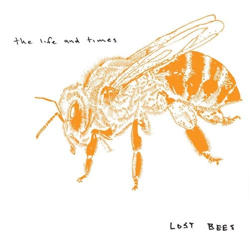Lost Bees