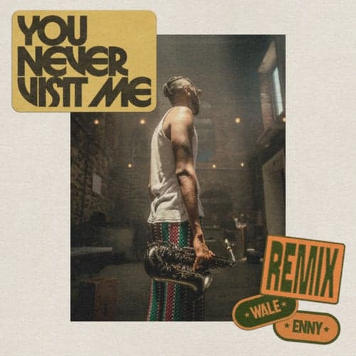 You Never Visit Me (Remix)