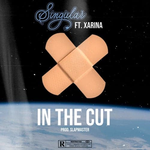 In The Cut (feat. Xarina)