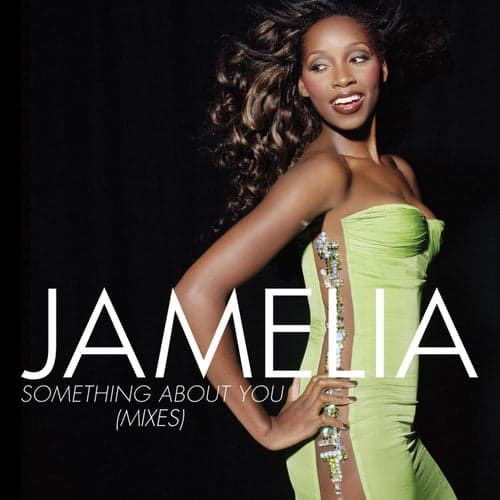 Something About You (Mixes)