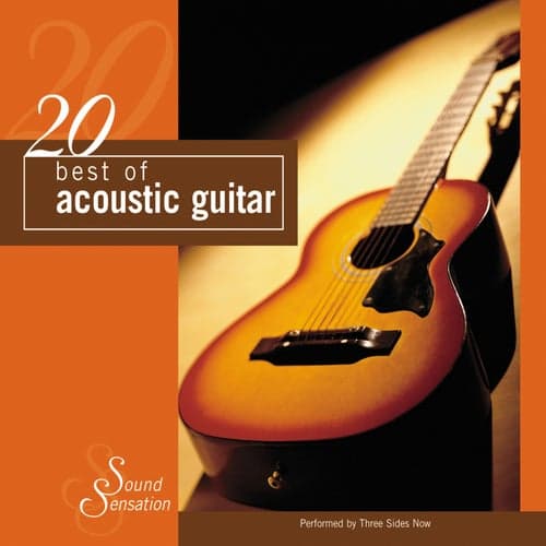 20 Best of Acoustic Guitar