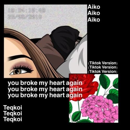 You Broke My Heart Again (TikTok Version)