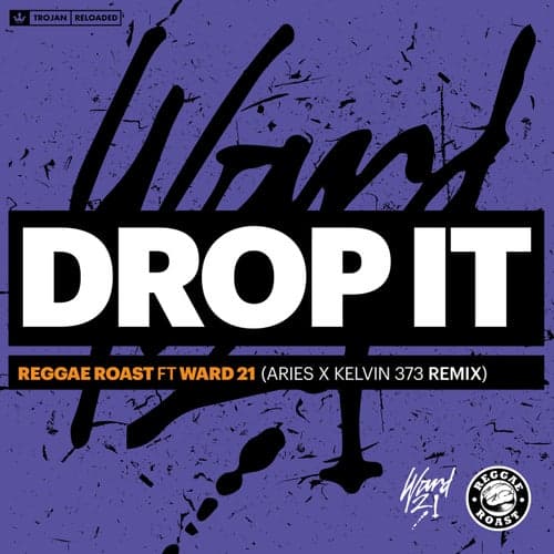 Drop It (feat. Ward 21) [Aries & Kelvin 373 Remix]