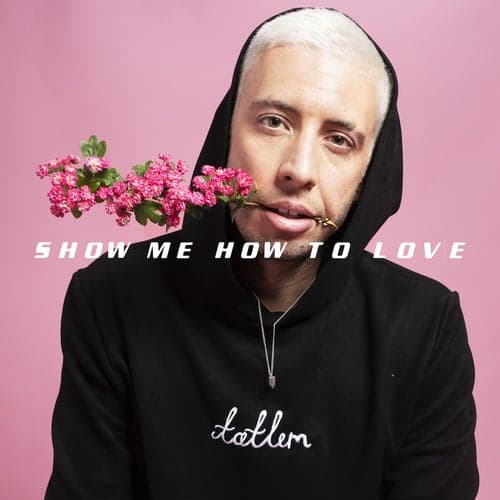 Show Me How to Love (feat. Hayla)