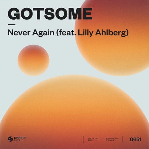 Never Again (feat. Lilly Ahlberg)