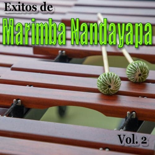 Exitos de Marimba Nandayapa, Vol.2