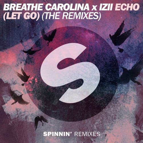 ECHO (LET GO) [The Remixes]