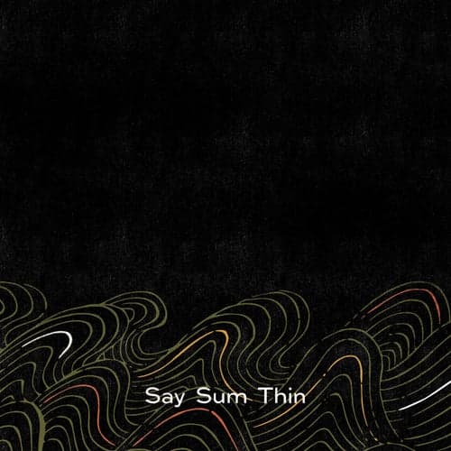 Say Sum Thin