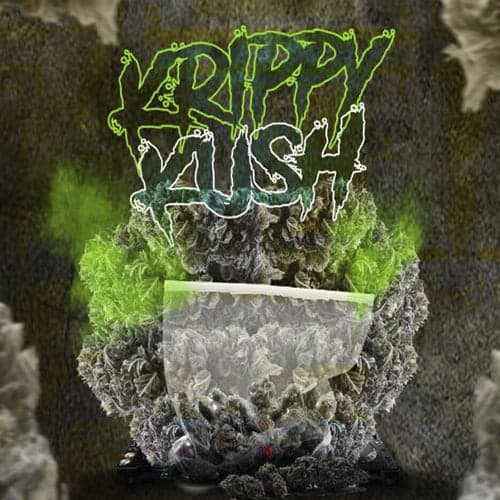 Krippy Kush (feat. Bad Bunny, Nengo Flow, Nov Yjry) [Mambo Remix]