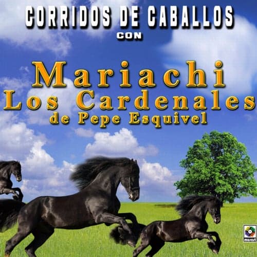 Corridos De Caballos Con Mariachi Los Cardenales De Pepe Esquivel