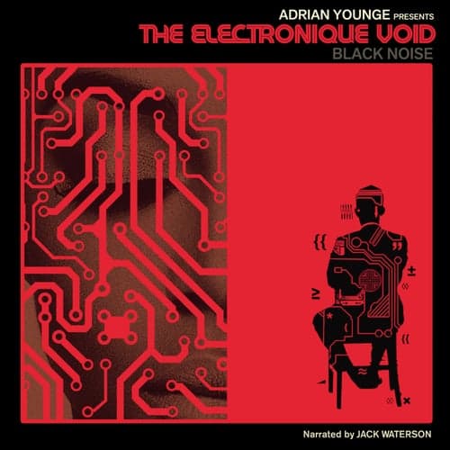 Adrian Younge Presents The Electronique Void: Black Noise
