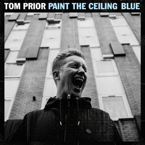 Paint The Ceiling Blue