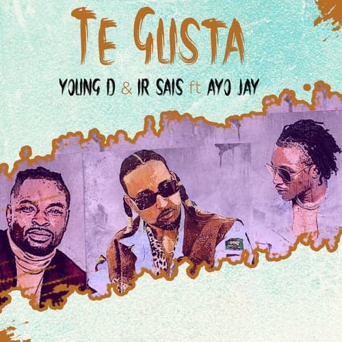 Te Gusta (feat. Ayo Jay)