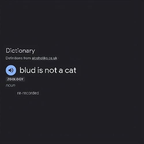 blud is NOT a cat (re-recorded)