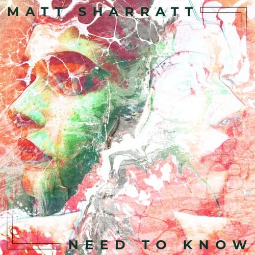 Need To Know (VIP Mix)