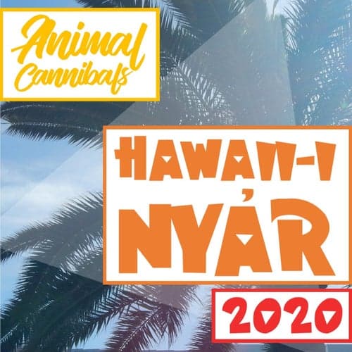Hawaii-i nyár 2020