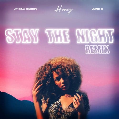 Stay The Night (Remix)