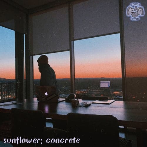 sunflower; concrete