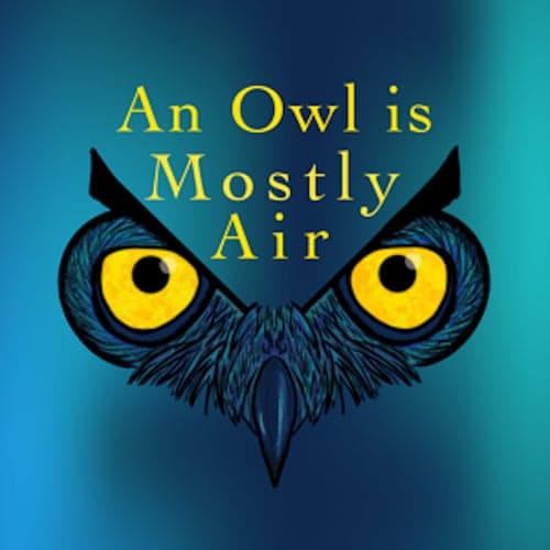 An Owl is Mostly Air