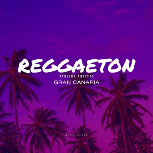 Reggaeton Gran Canaria