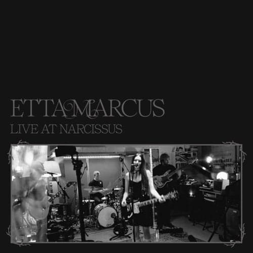 Live At Narcissus