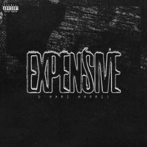 Expensive (feat. Razelle)