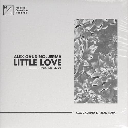 Little Love (pres. Lil' Love) [Alex Gaudino & Hiisak Remix]