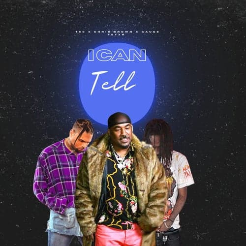 I Can Tell ( remix )