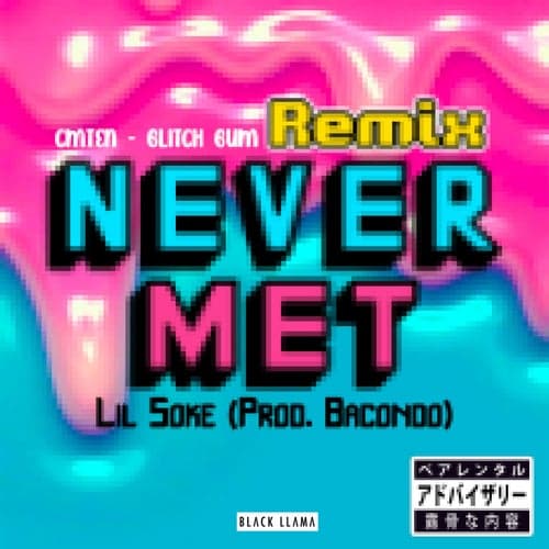 Never Met Remix