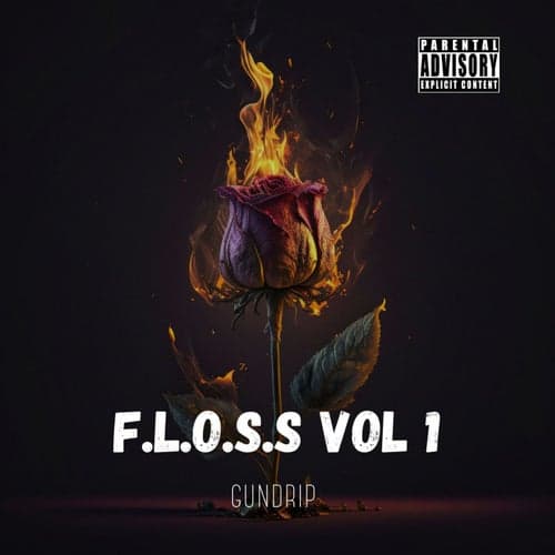 F.L.O.S.S Vol. 1