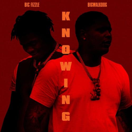 Knowing (feat. BigWalkDog)