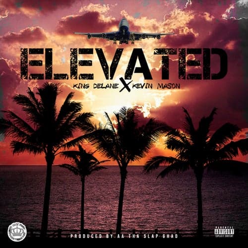 Elevated (feat. Kevin Mason)