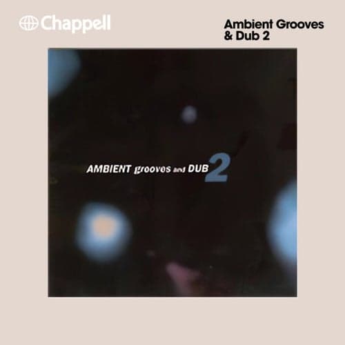 Ambient Grooves & Dub 2