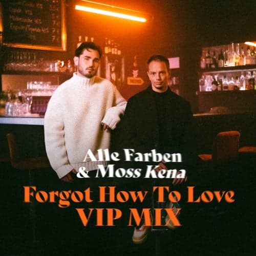 Forgot How to Love (VIP Mix)