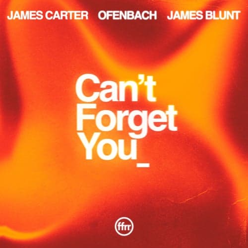 Can't Forget You (feat. James Blunt) [Extended Mix]
