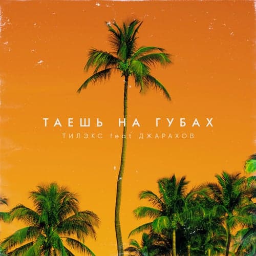 Taesh na gubakh (feat. Dzharakhov)