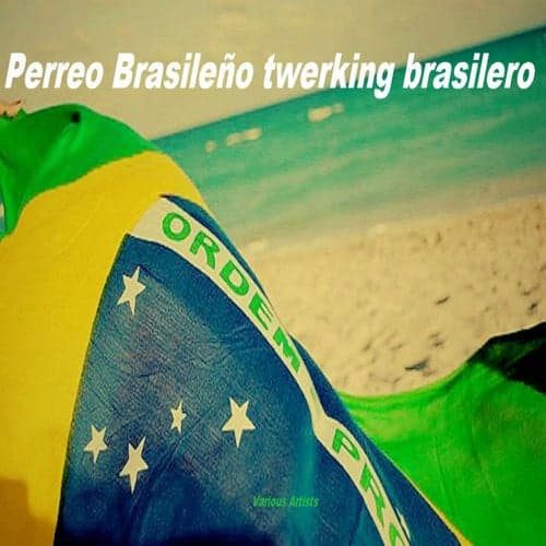 Perreo Brasileno + Twerking Brasilero