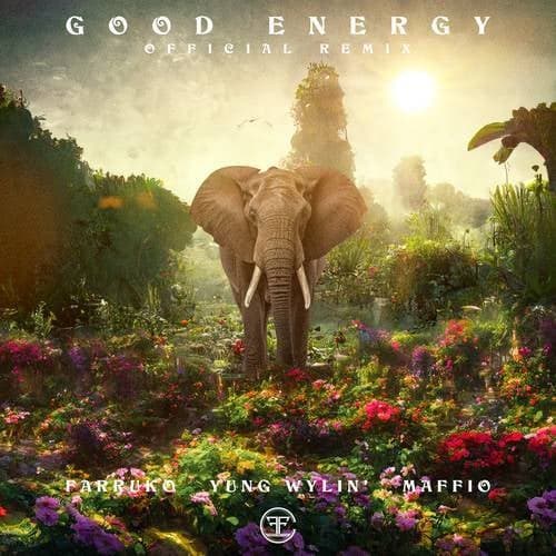 Good Energy (Remix)