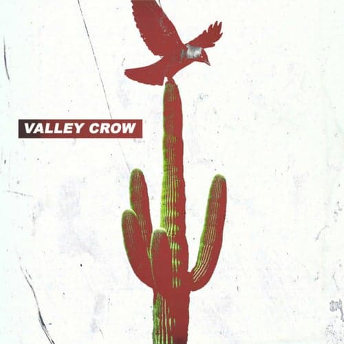 Valley Crow