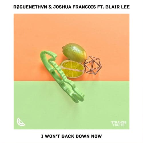I Won't Back Down Now (feat. Blair Lee)