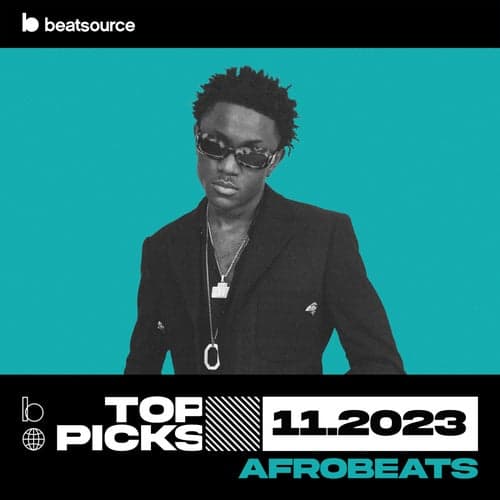 Afrobeats Top Picks November 2023 playlist