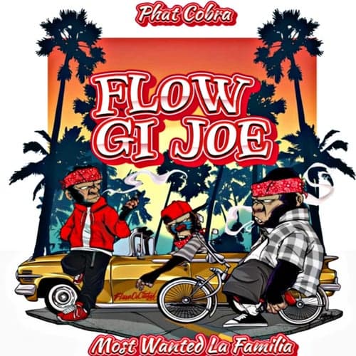 Flow Gi Joe